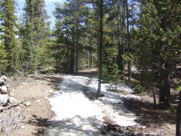 Still some snow on the trail in places.