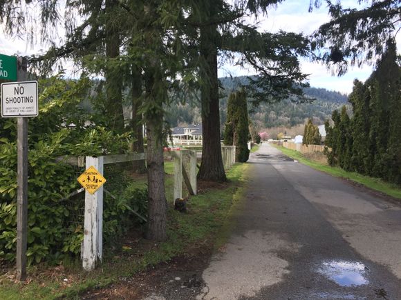 Here’s a neighbor’s driveway art pictured before, but not with a bike that seems such a match.
