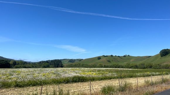 The Bears Loop takes you around a couple reservoirs east of Berkeley in the Orinda and El Sobrante area. We took the old road that runs along the San Pablo Reservoir—a mixed terrain trail that is mostly gravel with cement in some sections.