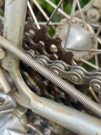 Caimi freewheel
Regina chain