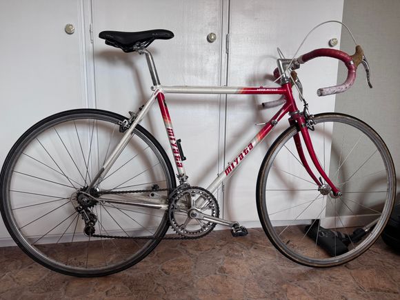 Team Miyata - Campagnolo components, Roval wheels.