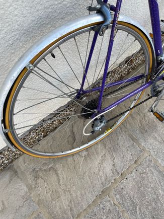 Rear wheel and chain