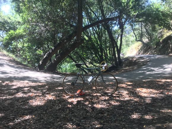 Along the path that goes around Lake Chabot.
