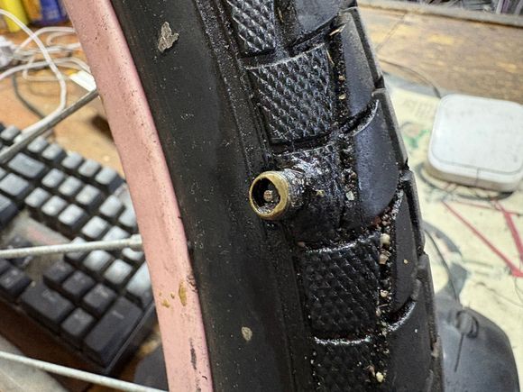 The tire & tube holds air! But not sure if the bonus valve works.