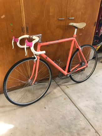 Coral 86 SR800