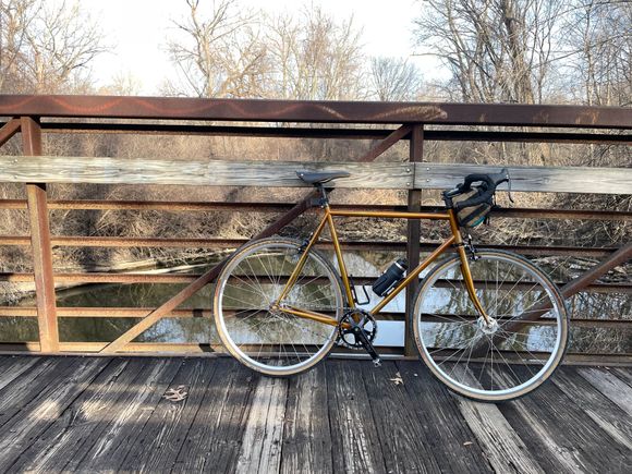 got some Conti dandelion tyres on order. Black walls will look better. 