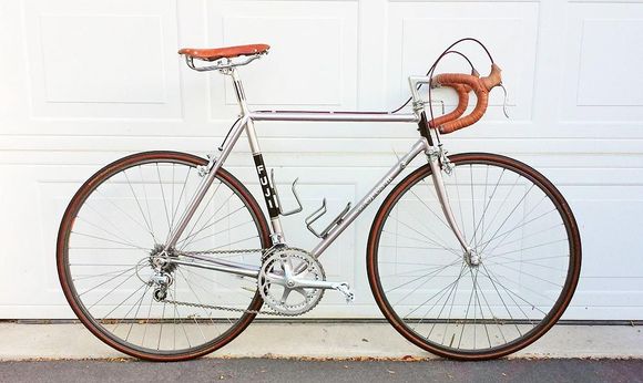 Matching the saddle and complimenting the paint