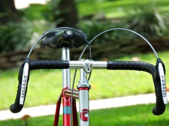 DSCN2405 (600x450)