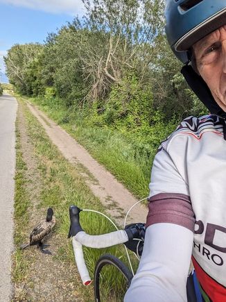 Coro and I chillin on the bike path