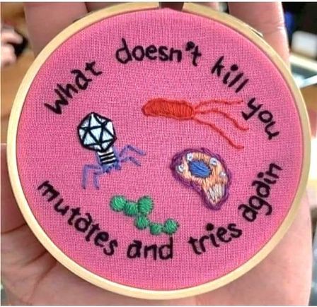 Not my genius embroidery. 
