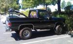 My Black Widow
