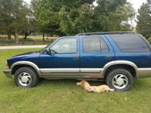 Dog not included.