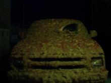 muddyblazer