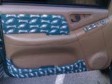 eagles cotton fabric on all door panels