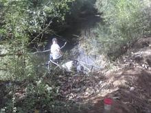 Strapped a Jeep to a tree that had a 10,000 lb Warn wench.