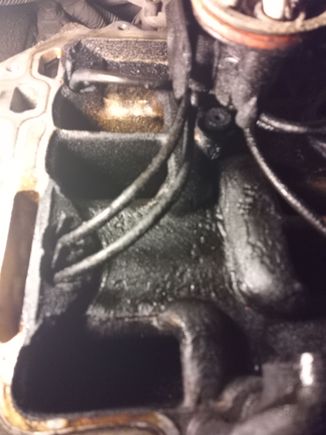 Passenger side intake manifold.