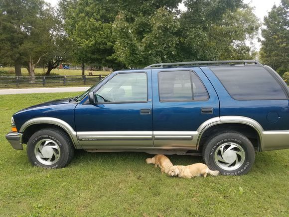 Dog not included.