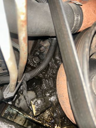 Front passenger side of motor