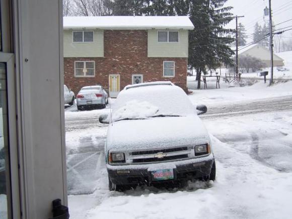 Snow 2009
