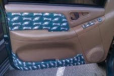 eagles cotton fabric on all door panels