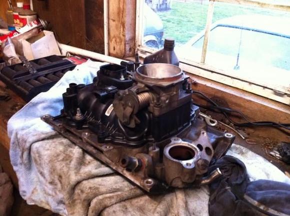 Top half off ready to get to work