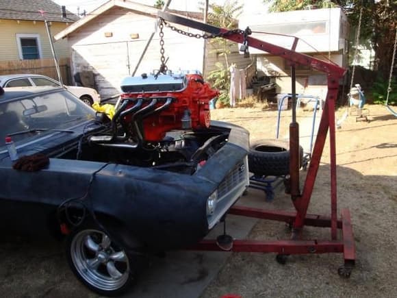 Installing the 461 right after the 355 sbc was taken out. Sweet Doug Thorley headers =)