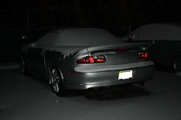 covered in snow during a weekend trip to PA.