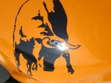 bull