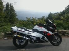 cbr 1994 1000f in the mountains