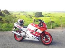 Rest area 30ish mins south of Auckland on the Matamata highway. Just past the pink pig and the red fox.