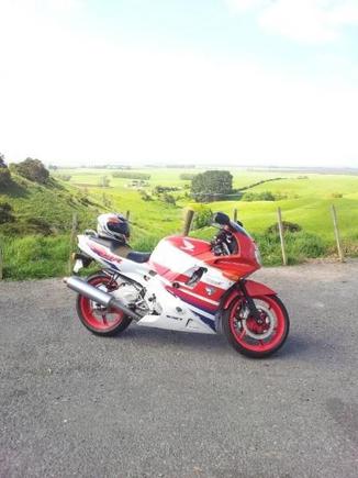 Rest area 30ish mins south of Auckland on the Matamata highway. Just past the pink pig and the red fox.