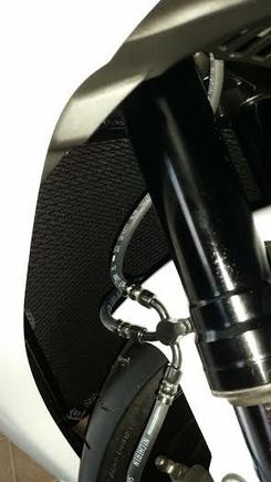 radiator protector from Cox racing