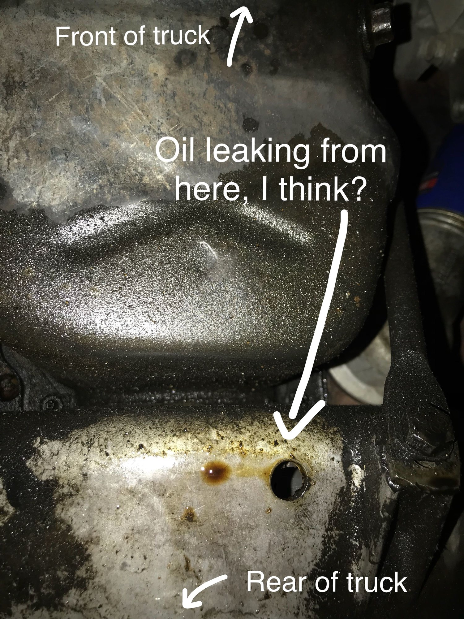 This Samantha Schwartz Leak Just Blew The Lid Off Everything - jl653nf