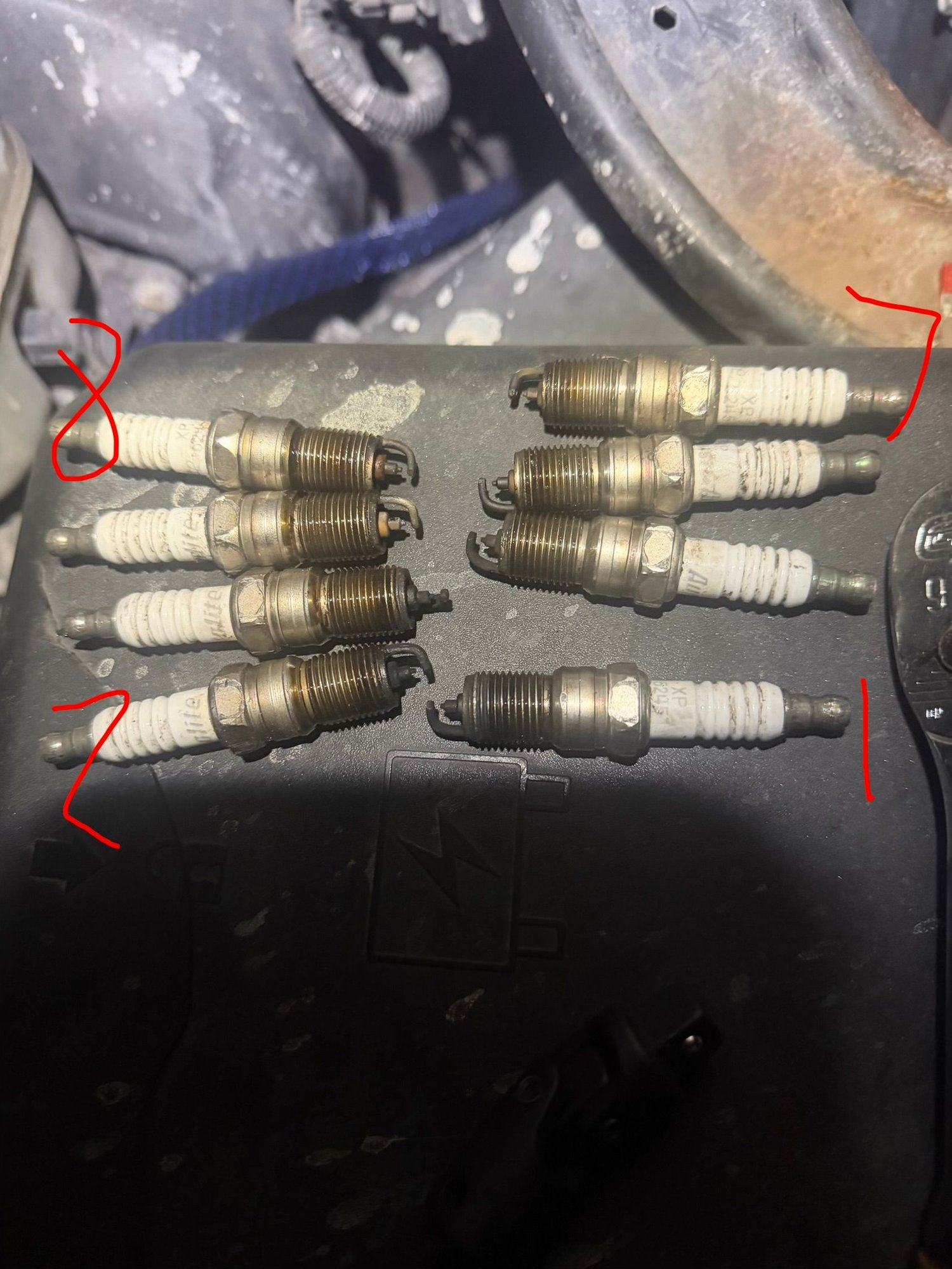These are the plugs after I pulled them, self explanatory bottom right cyl 1 bottom left cyl 2 and then 7 and 8 also numbered