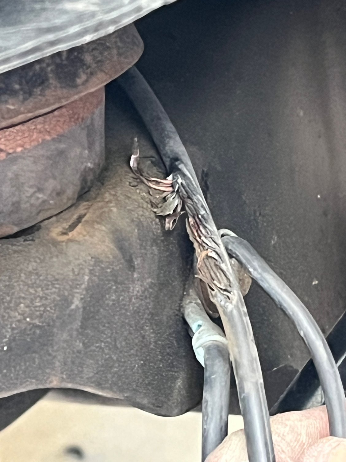 Notice the ground lead routes inside the body mount.  Lame.
