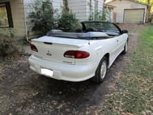 Cavy   top down   right rear quarter view