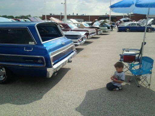 HERDFEST