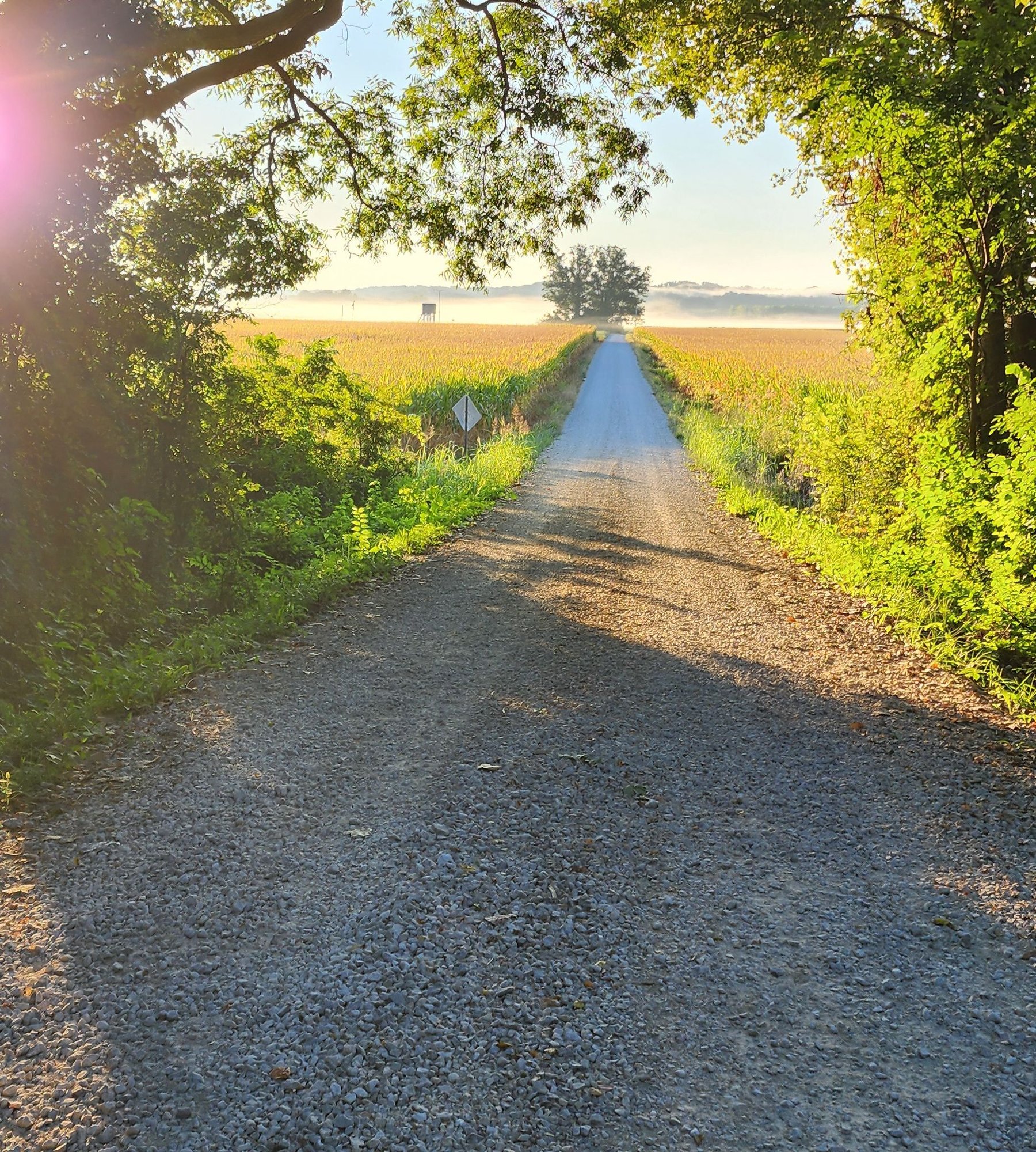 Never ending road