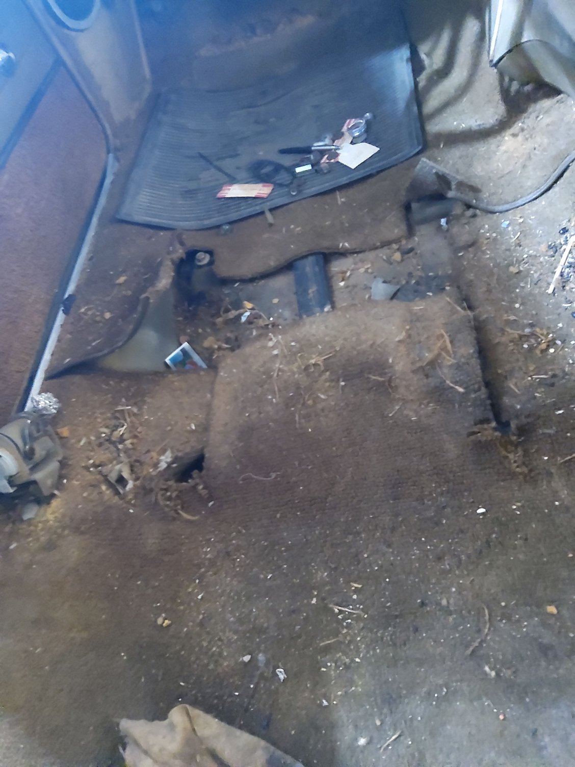 Sure is dirty after removing the seats.
