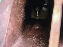 My PM Pictures