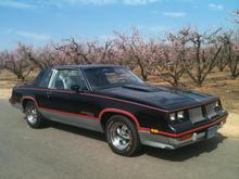 Hurst olds 1