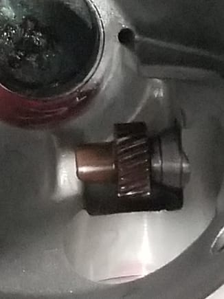 Brown 26 tooth gear