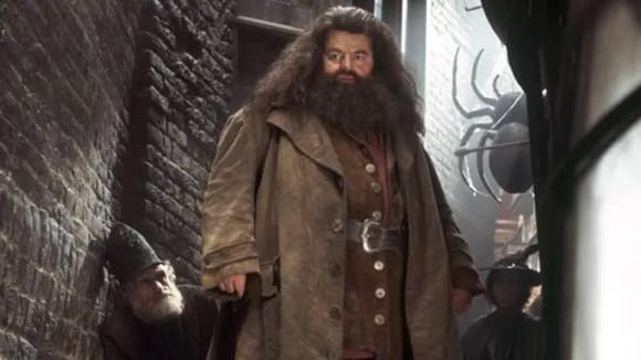 Robbie Coltrane as Rubeus Hagrid