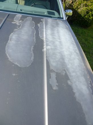 Right hand side of hood (F to R)