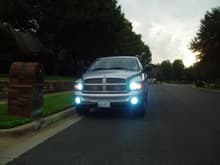 6k Hids in Heads and...