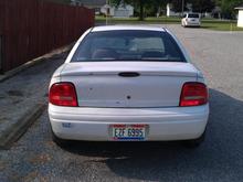 Needs a new trunk