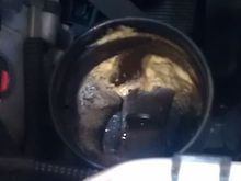 "foam" in Oil Filler
