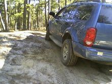 wharton state forest