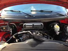 Finally got around to cleaning the engine bay! I couldn't believe how much gunk was built up!