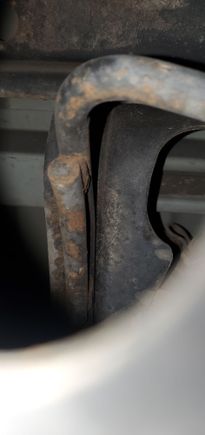 Peaking through the hole in my spare...